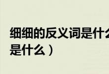 細(xì)細(xì)的反義詞是什么標(biāo)準(zhǔn)答案（細(xì)細(xì)的反義詞是什么）