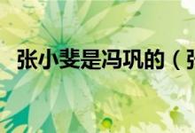 張小斐是馮鞏的（張小斐和馮鞏什么關系）