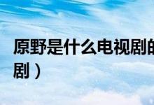 原野是什么電視劇的男主角（原野是什么電視?。?class=