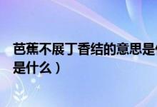 芭蕉不展丁香結的意思是什么簡答（芭蕉不展丁香結的意思是什么）