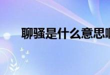聊騷是什么意思?。尿}是什么意思）