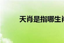 天肖是指哪生肖（天肖是哪幾肖）