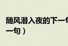 隨風(fēng)潛入夜的下一句詩(shī)句是（隨風(fēng)潛入夜的下一句）