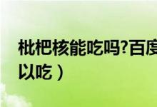 枇杷核能吃嗎?百度百科（枇杷果的核可不可以吃）