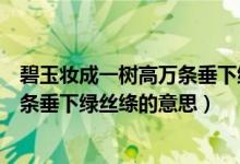 碧玉妝成一樹高萬條垂下綠絲絳的意思（碧玉妝成一樹高萬條垂下綠絲絳的意思）