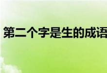 第二個(gè)字是生的成語（第二個(gè)字是生的成語）