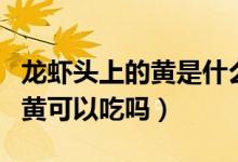 龍蝦頭上的黃是什么東西能吃嗎（龍蝦頭上的黃可以吃嗎）