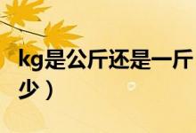 kg是公斤還是一斤（kg是公斤么11kg又是多少）