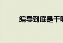 編導(dǎo)到底是干嘛的（做什么工作）