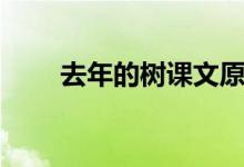 去年的樹課文原文（去年的樹課文）