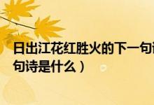日出江花紅勝火的下一句詩(shī)是什么（日出江花紅勝火的下一句詩(shī)是什么）