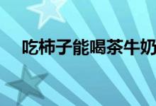 吃柿子能喝茶牛奶嗎（吃柿子能喝茶嗎）