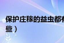 保護莊稼的益蟲都有啥（保護莊稼的益蟲有哪些）