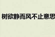 樹欲靜而風(fēng)不止意思（樹欲靜而風(fēng)不止圖片）