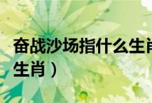 奮戰(zhàn)沙場指什么生肖（馳騁沙場逞英豪是什么生肖）