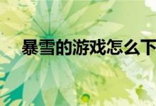 暴雪的游戲怎么下（暴雪的游戲有哪些）