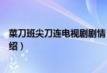 菜刀班尖刀連電視劇劇情（菜刀班尖刀連電視劇劇情簡短介紹）