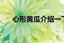 心形黃瓜介紹一下（是自然形成的嗎）