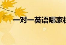 一對(duì)一英語(yǔ)哪家機(jī)構(gòu)好（有哪些機(jī)構(gòu)）