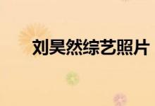 劉昊然綜藝照片（l和r左右怎么區(qū)分）