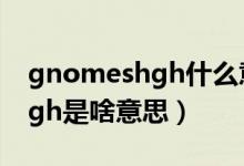 gnomeshgh什么意思中文翻譯（gnomeshgh是啥意思）