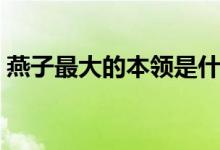 燕子最大的本領(lǐng)是什么（小燕子會(huì)什么本領(lǐng)）