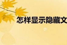 怎樣顯示隱藏文件（怎么隱藏文件）