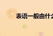 表語一般由什么詞來充當(dāng)（表語）