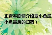 正青春劇情介紹章小魚最后和誰在一起了（正青春劇情及章小魚最后的歸宿）