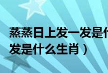 蒸蒸日上發(fā)一發(fā)是什么生肖發(fā)（蒸蒸日上發(fā)一發(fā)是什么生肖）