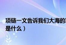 項鏈一文告訴我們大海的項鏈是什么（想一想大海的項鏈指是什么）