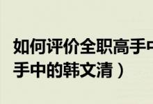 如何評(píng)價(jià)全職高手中的劉皓（如何評(píng)價(jià)全職高手中的韓文清）