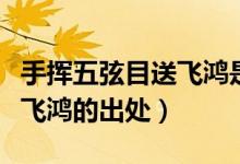 手揮五弦目送飛鴻是什么意思（手揮五弦目送飛鴻的出處）