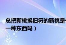 總把新桃換舊符的新桃是什么東西（新桃換舊符新桃指的是一種東西嗎）