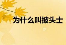 為什么叫披頭士(為什么叫披麻戴孝)