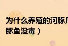 為什么養(yǎng)殖的河豚幾乎無毒（為什么養(yǎng)殖的河豚魚沒毒）