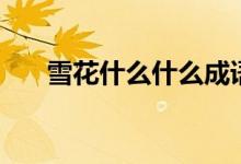 雪花什么什么成語(yǔ)（雪花什么填詞語(yǔ)）