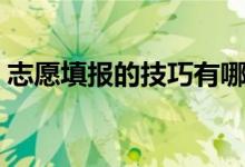 志愿填報(bào)的技巧有哪些（怎么報(bào)志愿比較好）