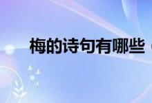 梅的詩(shī)句有哪些（和梅花有關(guān)的詩(shī)句）