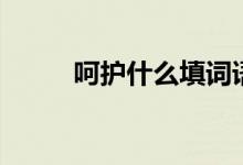 呵護(hù)什么填詞語(yǔ)（呵護(hù)什么意思）