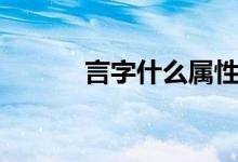 言字什么屬性（言字什么結(jié)構(gòu)）