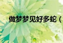 做夢(mèng)夢(mèng)見(jiàn)好多蛇（做夢(mèng)夢(mèng)見(jiàn)好多蛇寓意）