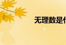 無理數(shù)是什么（無理數(shù)）