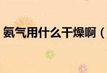 氨氣用什么干燥?。ò睔庥檬裁锤稍飫└稍铮?class=