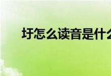 圩怎么讀音是什么意思（圩怎么讀音）