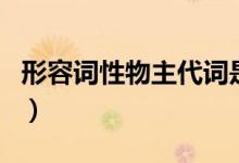 形容詞性物主代詞是什么（形容詞性物主代詞）