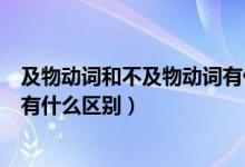 及物動(dòng)詞和不及物動(dòng)詞有什么差別（及物動(dòng)詞和不及物動(dòng)詞有什么區(qū)別）