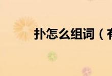 撲怎么組詞（有關(guān)撲的組詞介紹）