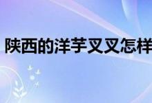 陜西的洋芋叉叉怎樣做（需要準備哪些食材）