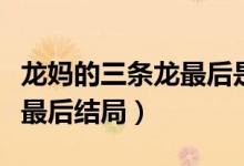龍媽的三條龍最后是什么結(jié)局（龍媽的三條龍最后結(jié)局）
